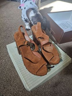 SEND OFFER
