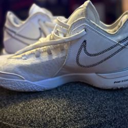 Nike Air Zoom LeBron NXXT Gen AMPD Basketball Shoes