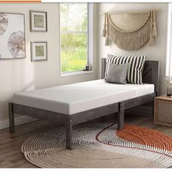 Zinnia Twin Medium Memory Foam 6 in. Bed-in-a-Box CertiPUR-US Mattress