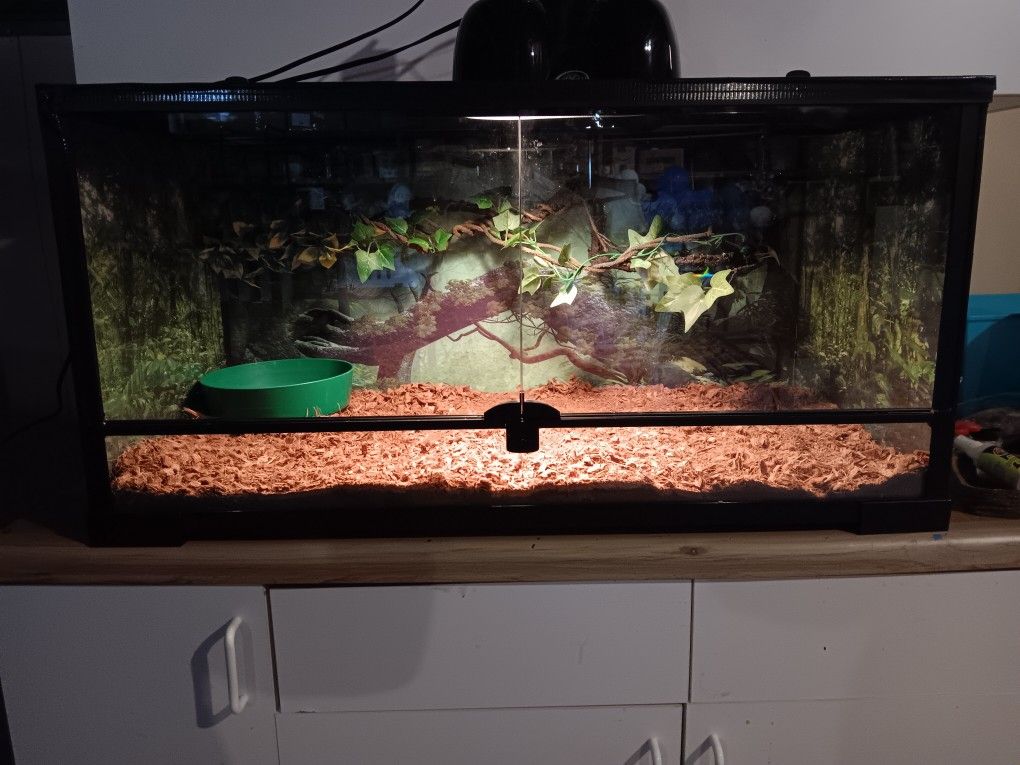 Reptile enclosure 36 X 18 X 18 Set up