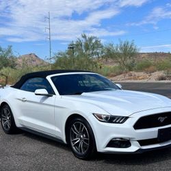 2017 Ford Mustang EcoBoost Premium EcoBoost Premium 2dr Convertible Price $14,000 Mileage 151,357