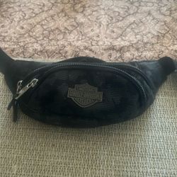 HD Fanny pack