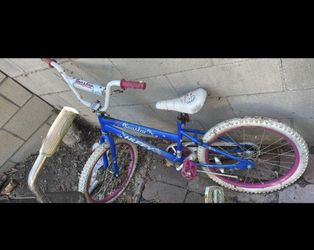 Bicycles For The Whole Family