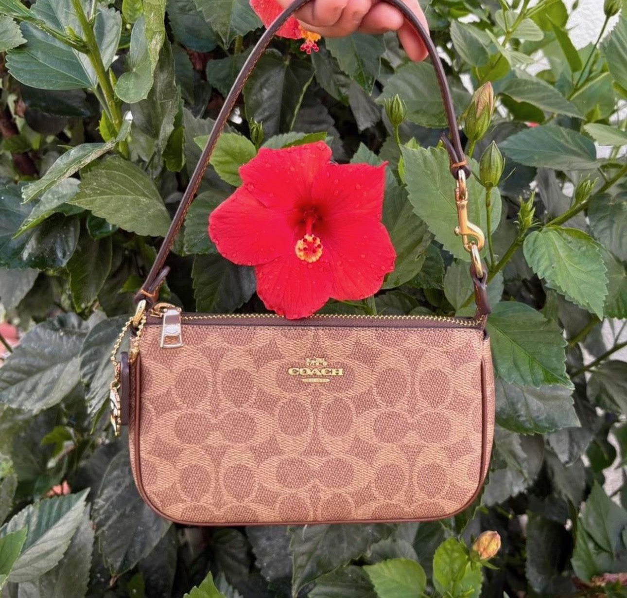 Coach Bag Nolita 19 In Signature Canvas