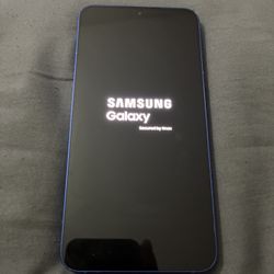 Samsung Galaxy S25+