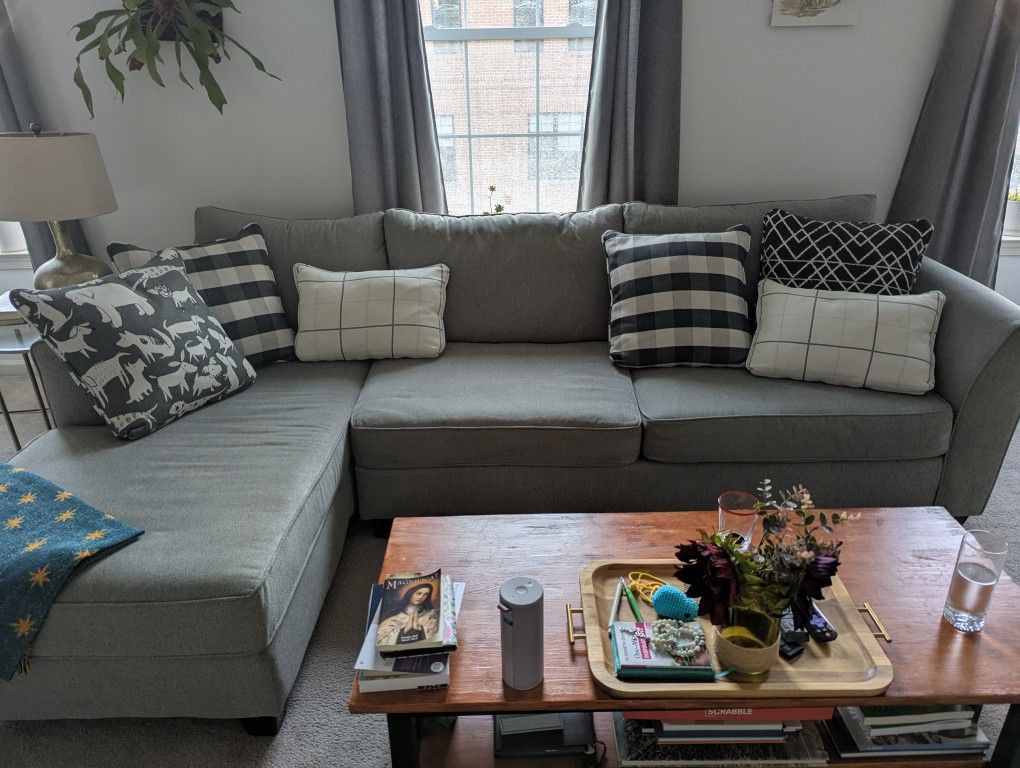 2 Piece Daine Sectional (Raymour & Flanigan)