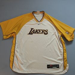 Nike center centered check lakers warm up 