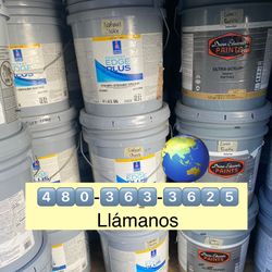 Pintura Y Material/ Paint 