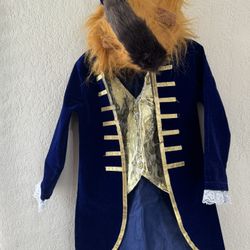 Toddler Boy Beast Costume 