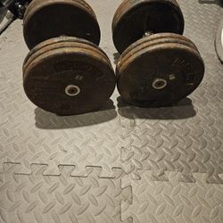 60lb Dumbbells 
