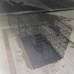 Pet cage 
