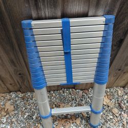 Telescoping Ladder