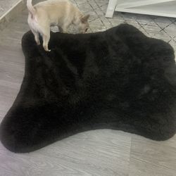 Dog Bed 