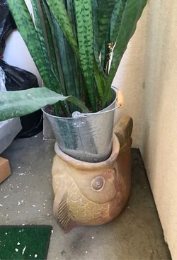 Goldfish flower pot