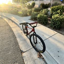 Caroline Throne 29er