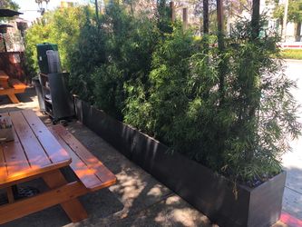 Custom Beautiful privacy wall Tomato Tower Planter Box Garden Bed Decor Outdoor Design cedar redwood