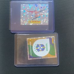 Panini World Cup Stickers