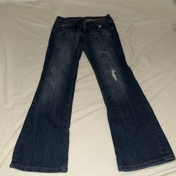 Express Low Rise Flare Jeans Size 6