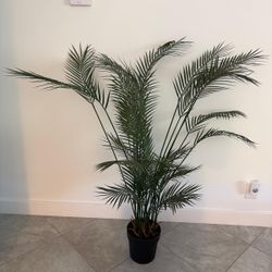 Fake House Plant 
