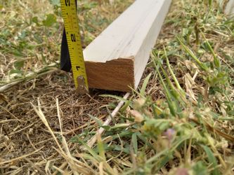 Wood moldings