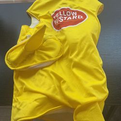 Child’s Mustard Costume Size 7-9