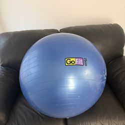 GoFit Fitness Ball 75cm