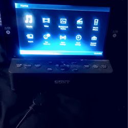Sony Dream Machine Auto Time And Radio  
