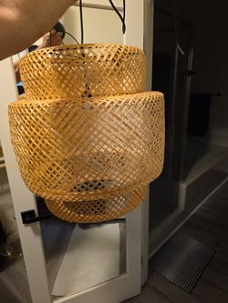 Brand New Light With Hardware Never Installed