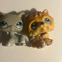 LPS customized
