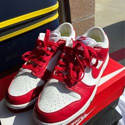 Nike Retro Dunks Size 7.5M 9W