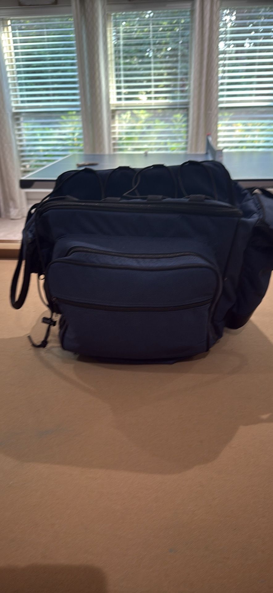 picnic Cooler With Utensils And Plates Ready To Have Fun