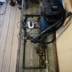 90 Gallon Fish Tank W/accessories