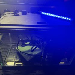 ✨ 10 Gallon Aquarium Setup – Ready to Go! ✨
