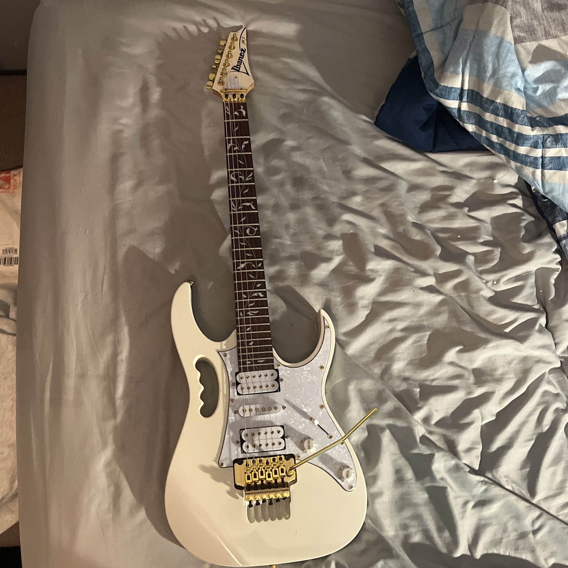 Ibanez Jem Guitar, Steve Vai