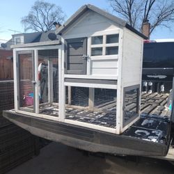 Birds CaseI Have Two Evailable 