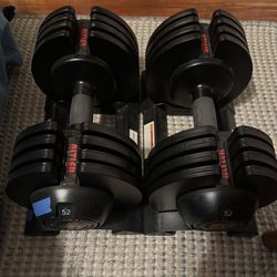 Antler Adjustable Weights