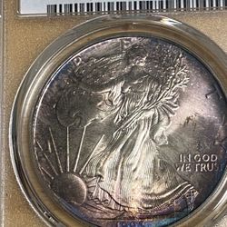 1993 Silver Eagle Ms66 Deep Color Blue Toned