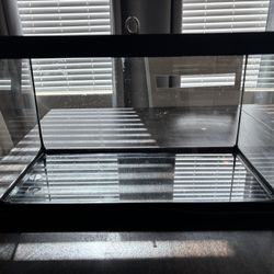 10g Tank 