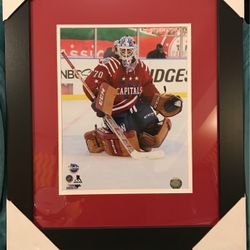 Washington Capitals Braden Holtby Winter Classic Picture 