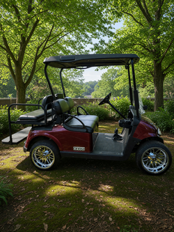 EZGO RXV 48V Golf Cart in good condition