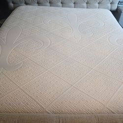 Stearns and foster California king