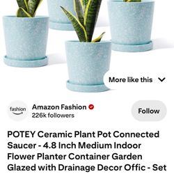 Ceramic Plant Pots 