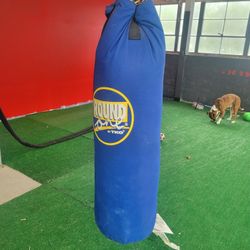 Punching Bag