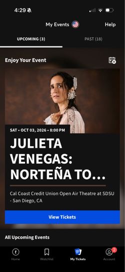 1 ticket to Julieta Venegas