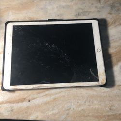IPad Pro 12.9 Inches 