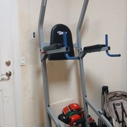 Fitness Gear | Calisthenics Machine ☆
