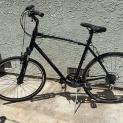 2021 Giant Cypress DX Bike