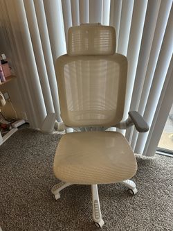 GABRYLLY Ergonomic Office Chair