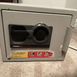 Sentry Safe S0209