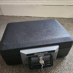 SentrySafe Fireproof Safe Box with Key Lock, 0.25 Cubic Feet, 6.3 x 15.3 x 12.1 Inches